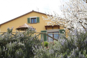 Cottage with private pool Montescudaio